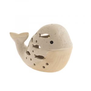 Ballena Led