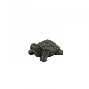 Rocasa Tortuga