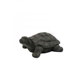 Rocasa Tortuga