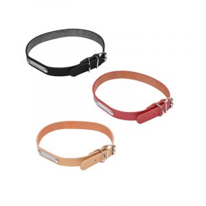Collar P/Perro 